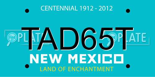 TAD65T New Mexico License Plate
