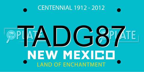TADG87 New Mexico License Plate