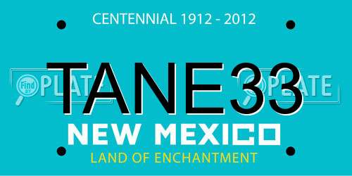 TANE33 New Mexico License Plate