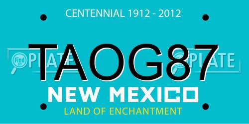 TAOG87 New Mexico License Plate