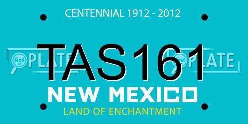 TAS161 New Mexico License Plate