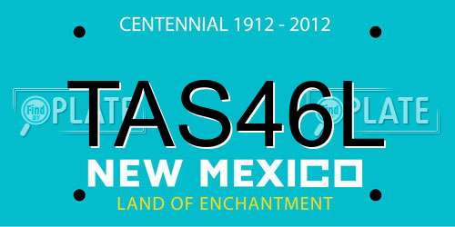 TAS46L New Mexico License Plate