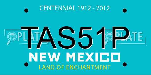 TAS51P New Mexico License Plate