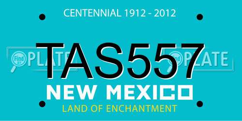 TAS557 New Mexico License Plate