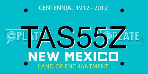 TAS55Z New Mexico License Plate