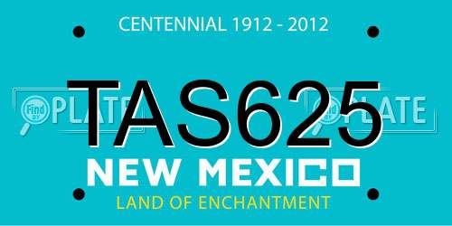 TAS625 New Mexico License Plate