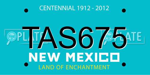 TAS675 New Mexico License Plate