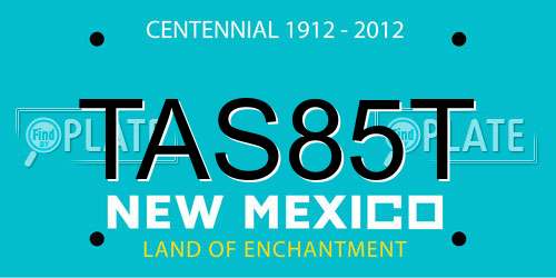 TAS85T New Mexico License Plate