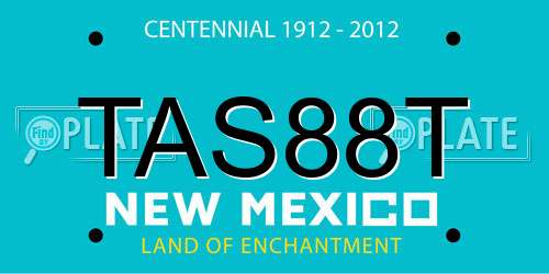 TAS88T New Mexico License Plate