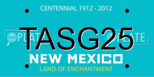 TASG25 New Mexico License Plate