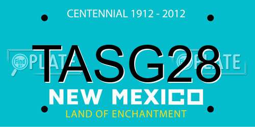 TASG28 New Mexico License Plate