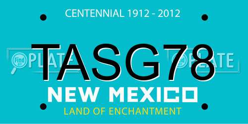 TASG78 New Mexico License Plate