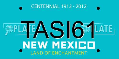 TASI61 New Mexico License Plate