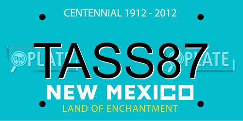 TASS87 New Mexico License Plate