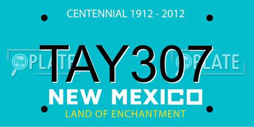 TAY307 New Mexico License Plate