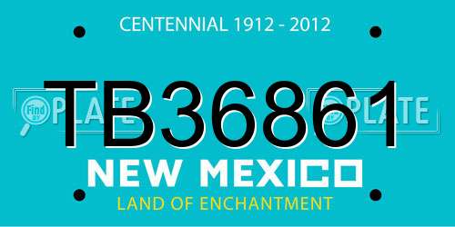 TB36861 New Mexico License Plate