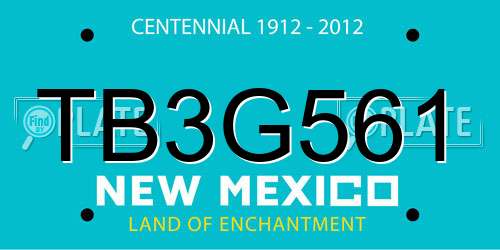 TB3G561 New Mexico License Plate