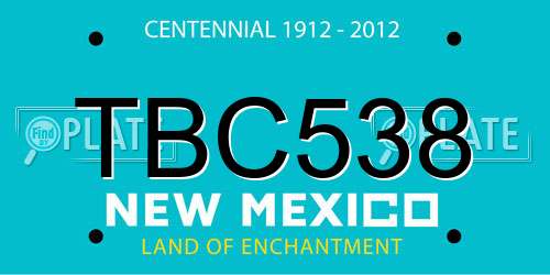 TBC538 New Mexico License Plate