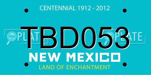 TBD053 New Mexico License Plate