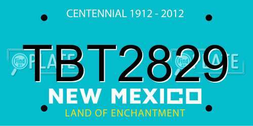 TBT2829 New Mexico License Plate
