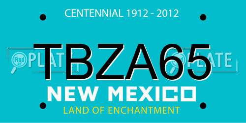 TBZA65 New Mexico License Plate
