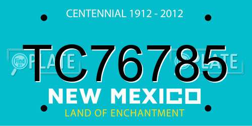 TC76785 New Mexico License Plate