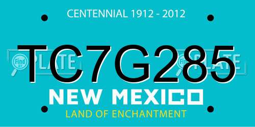 TC7G285 New Mexico License Plate