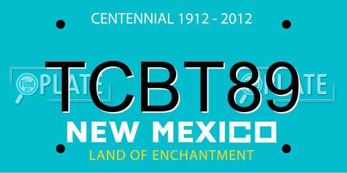 TCBT89 New Mexico License Plate
