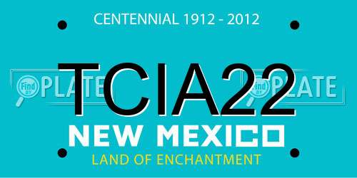 TCIA22 New Mexico License Plate