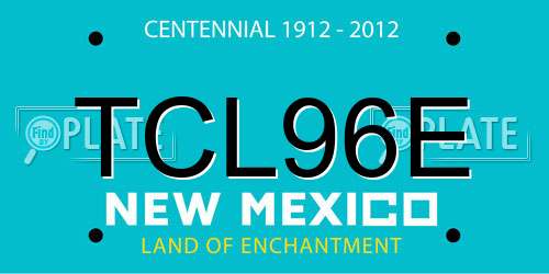 TCL96E New Mexico License Plate