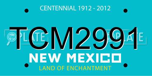 TCM2991 New Mexico License Plate
