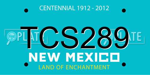 TCS289 New Mexico License Plate