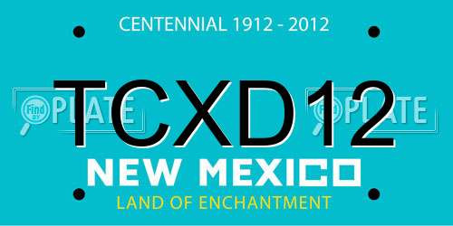 TCXD12 New Mexico License Plate