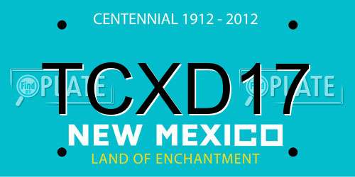 TCXD17 New Mexico License Plate