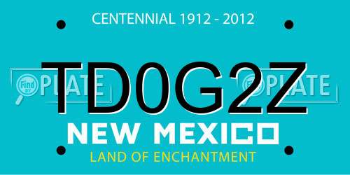 TD0G2Z New Mexico License Plate