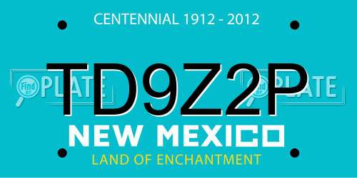 TD9Z2P New Mexico License Plate