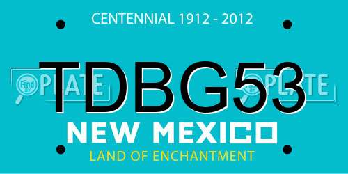TDBG53 New Mexico License Plate