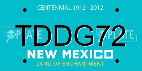 TDDG72 New Mexico License Plate
