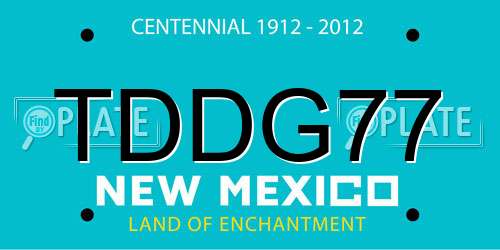 TDDG77 New Mexico License Plate