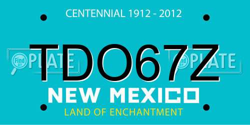 TDO67Z New Mexico License Plate