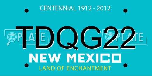 TDQG22 New Mexico License Plate