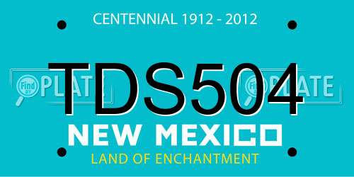 TDS504 New Mexico License Plate