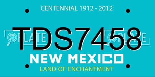 TDS7458 New Mexico License Plate