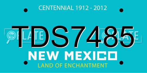 TDS7485 New Mexico License Plate
