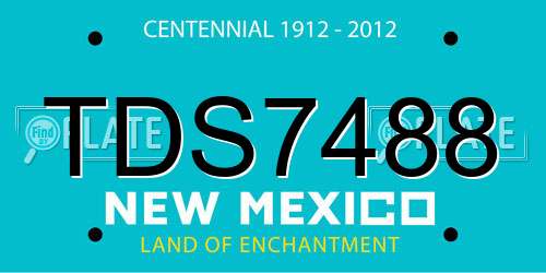 TDS7488 New Mexico License Plate