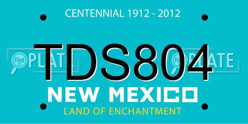 TDS804 New Mexico License Plate