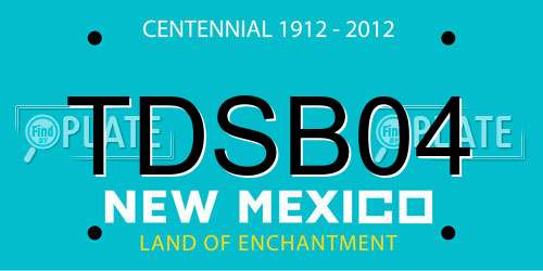 TDSB04 New Mexico License Plate