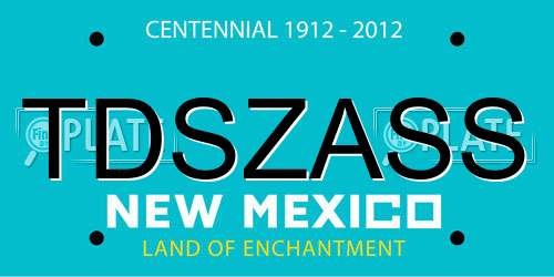 TDSZASS New Mexico License Plate