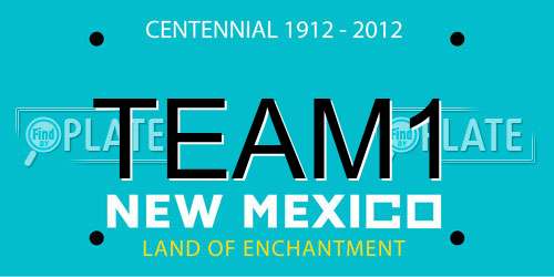 TEAM1 New Mexico License Plate