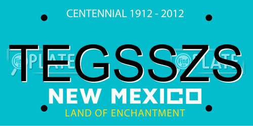 TEGSSZS New Mexico License Plate